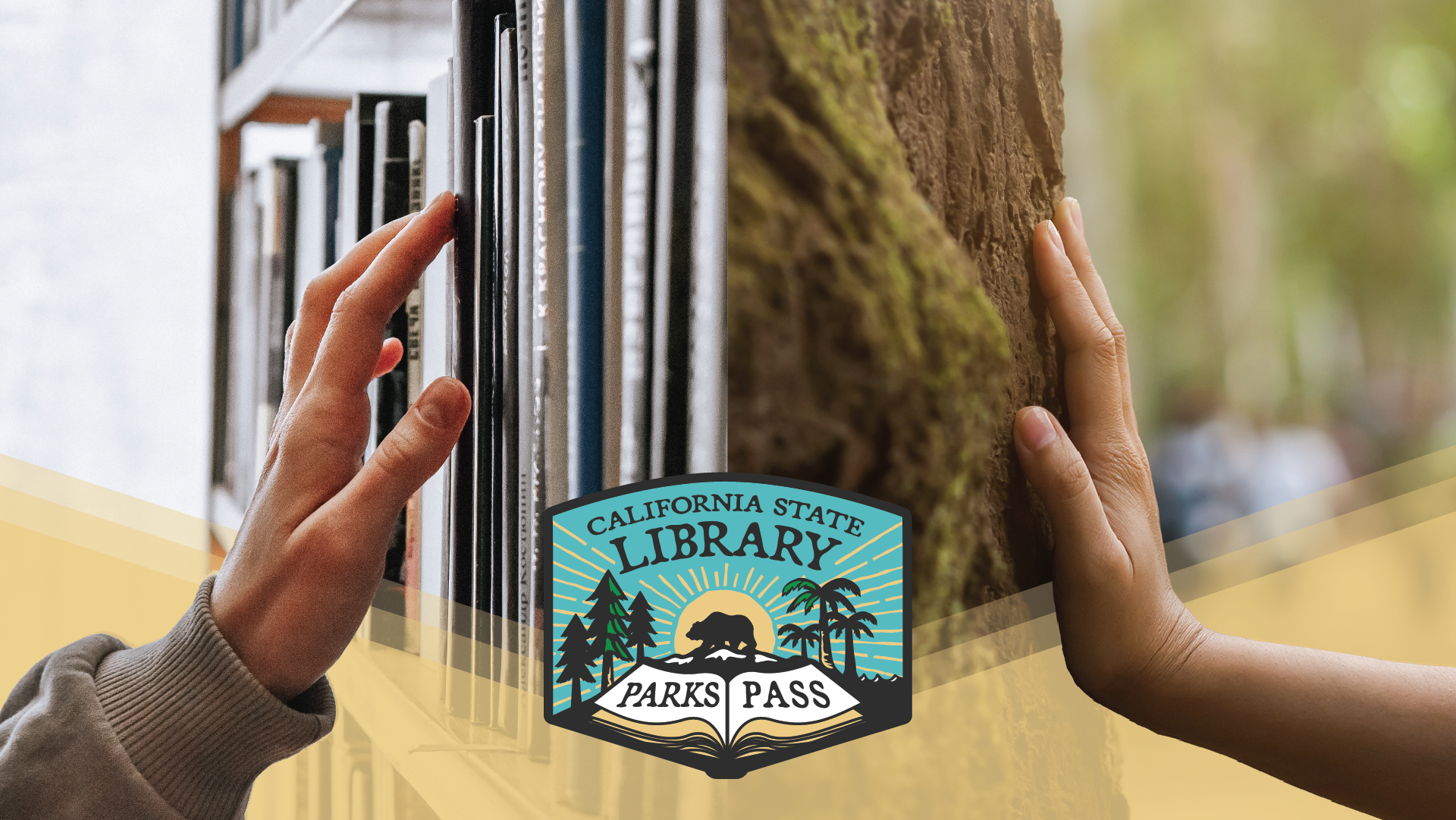 A hand on a bookshelf and a hand on a tree trunk.