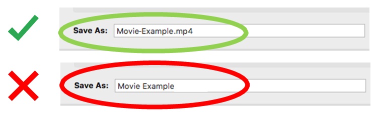 Handbrake save as screenshot